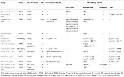 Music Training, Working Memory, and Neural Oscillations: A Review